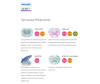  Philips Avent  2 ultra soft        6-18 . 2 . - Philips Avent ultra soft        6-18 . 2 .