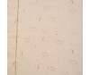   BamBola 018 (3 ) - BamBola 018 (3 )
