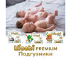  Kioshi  Premium New Born (5 ) 24 . - Kioshi  Premium New Born NB (5 ) 24 .