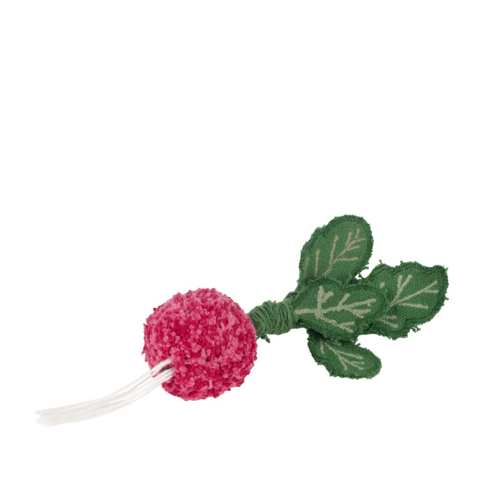  Oli&Carol     Diy Ramona The Radish
