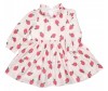  Baby Rose    3525 - Baby Rose    3525