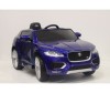  RiverToys  Jaguar LS-818 - RiverToys  Jaguar LS-818