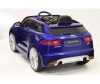  RiverToys  Jaguar LS-818 - RiverToys  Jaguar LS-818