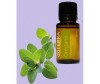  doTERRA   Oregano - doTERRA   Oregano