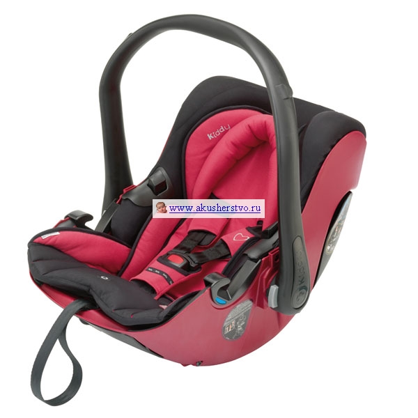  Kiddy Evolution pro