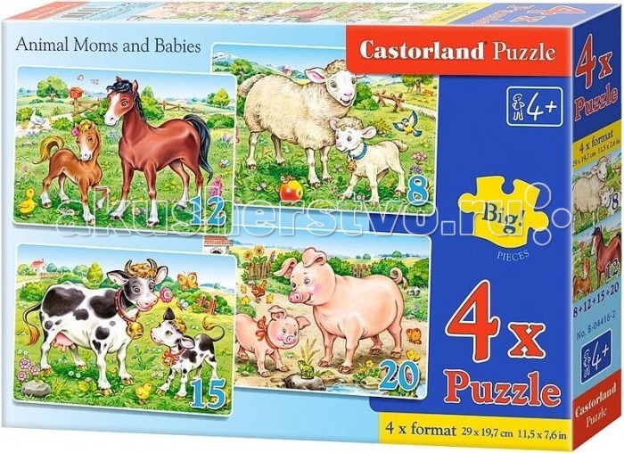  Castorland  4  1   55 