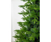  Green Star    250  - TriumpHalno    250 