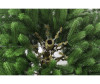  Green Star    250  - TriumpHalno    250 