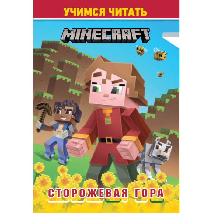  Minecraft     5