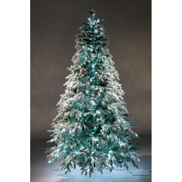 Crystal Trees        120 