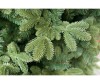  Green Trees    150  - Green Trees    150 