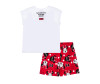  Playtoday    (  ) Home morning mood 32241854 - Playtoday    (  ) Home morning mood 32241854