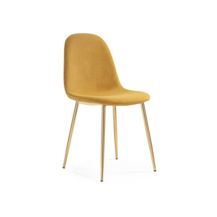  Woodville    Lilu 1