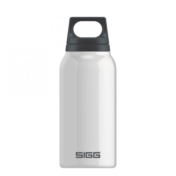  Sigg  H&C 0.3 