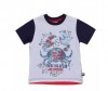  Sweet Berry     911093 - Sweet Berry     911093