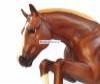  Breyer  ,  - - Breyer  ,  -