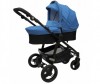  Bebe Due Beyond Poly 2  1 - Bebe Due Beyond Poly 2  1