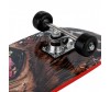 RGX  Standart 6 - RGX  Standart 6