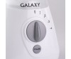  Galaxy  GL 2154 - Galaxy  GL 2154