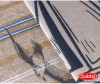   Hobby Home Collection 1.5- Marinella 160x240  - Hobby Home Collection 1.5- Marinella 160x240 