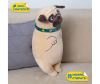   KiDWoW    391753815 - INF_DL306210517K_1-1698785643