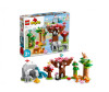  Lego Duplo    - Lego Duplo   