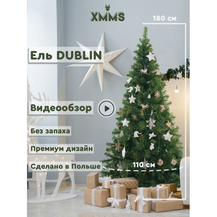  XMMS   Dublin 180 