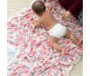  Aden&Anais   120x120  WL5003 - Aden&Anais   120x120  WL5003