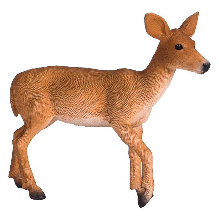  Konik   