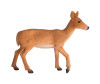  Konik    - Konik   