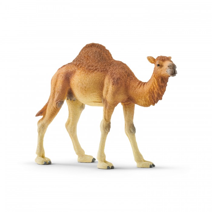  Schleich  