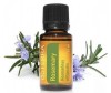  doTERRA   Rosemary - doTERRA   Rosemary