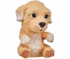   Little live Pets - OMG Pets!  - Moose   - OMG Pets! 