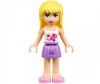  Lego Friends 41119    - Lego Friends 41119   