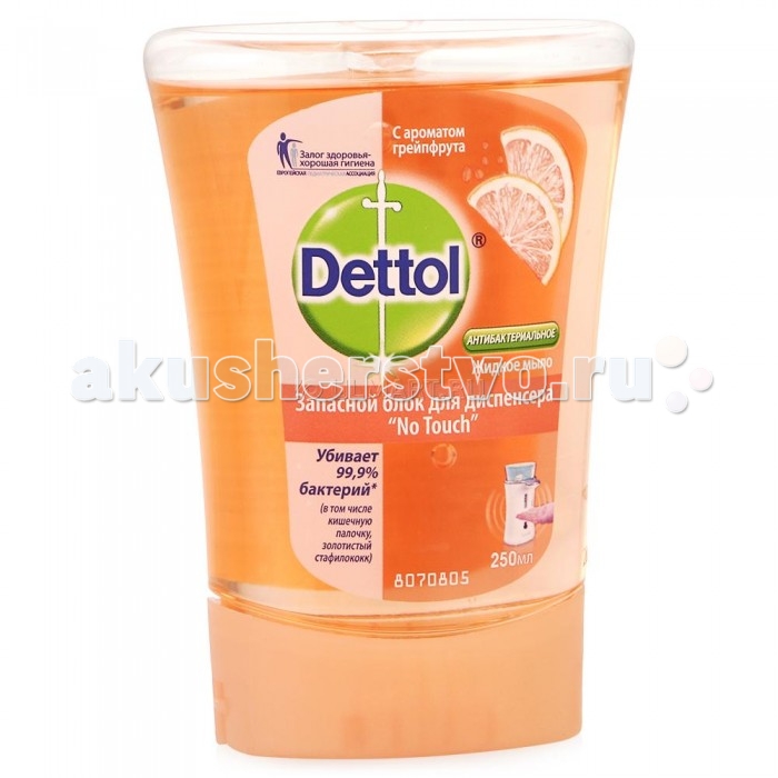  Dettol      No Touch 250 
