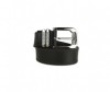  Wild Bear  RM-023/024m - Wild Bear  RM-023/024m
