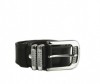  Wild Bear  RM-023/024m - Wild Bear  RM-023/024m