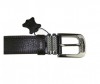  Wild Bear  RM-023/024m - Wild Bear  RM-023/024m