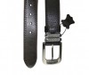  Wild Bear  RM-023/024m - Wild Bear  RM-023/024m
