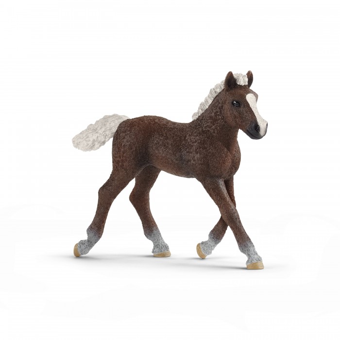  Schleich   