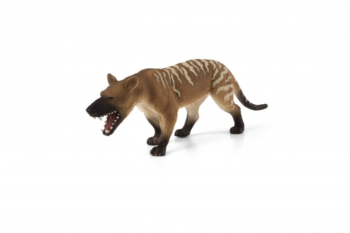  Mojo Animal Planet  XL