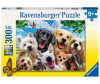  Ravensburger    (300 ) - Ravensburger    (300 )