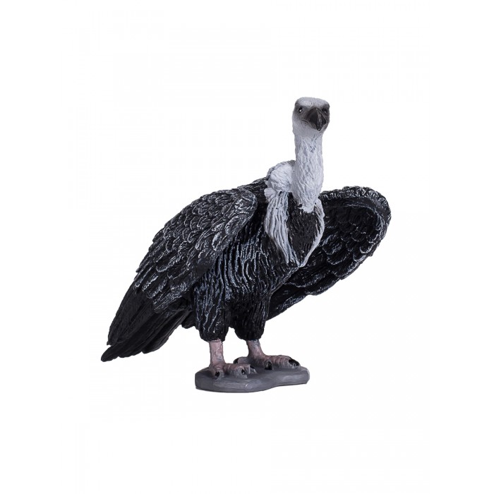  Mojo Animal Planet   L