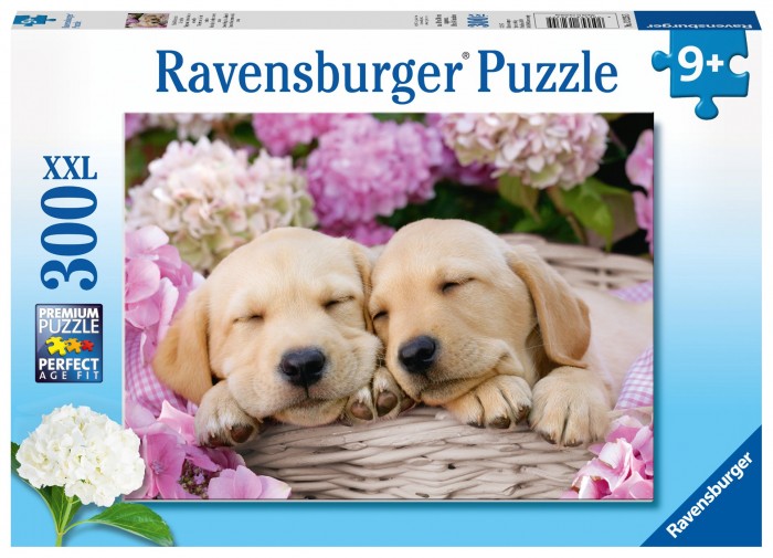  Ravensburger      (300 )