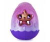  Hatchimals     c   - Spin Master      c  