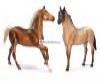  Breyer  :   (4 ) - Breyer  