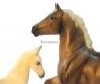  Breyer  :   (4 ) - Breyer  :   (4 )