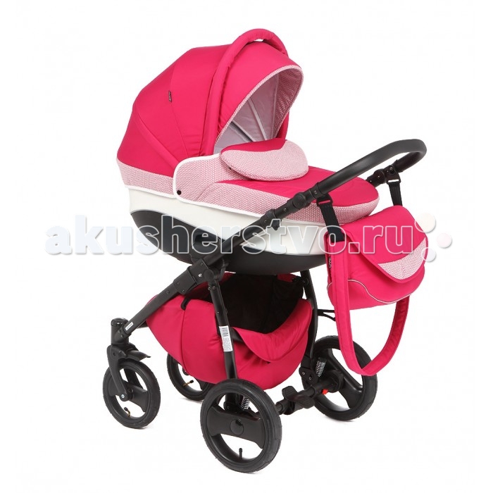  Rudis Sibis Style 2  1
