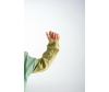  Sofi de MarkO    Funny 4 110-116 - f9j7ax5871ypa40357usapow2lgghqe9-1717406287