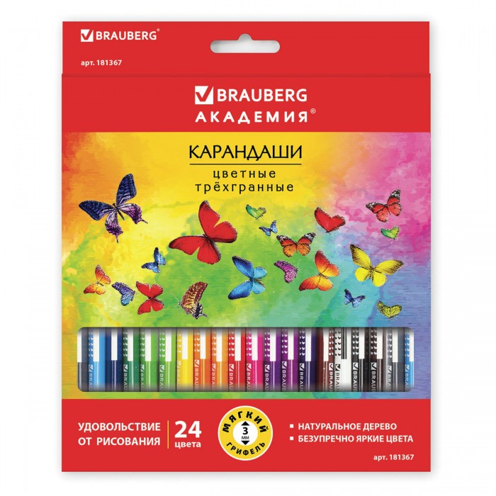  Brauberg     24 